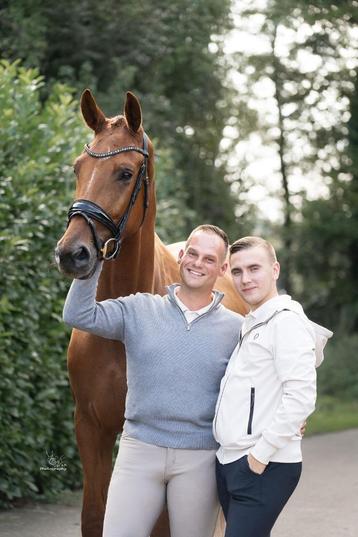 DS Sporthorses - Entrepôt de vacances 5 étoiles, Mise à l'étable, 4 chevaux ou poneys ou plus