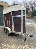 Paardentrailer 1,5 paard TE HUUR | LINKHOUT, Dieren en Toebehoren, Paarden en Pony's | Trailers en Aanhangwagens, Ophalen, Zo goed als nieuw