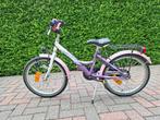 meisjesfiets 20 inch, Fietsen en Brommers, Ophalen, Gebruikt, 20 inch, Versnellingen