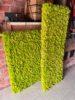 Moswanden in verschillende maten uit Noord- en Oost Europa, Ophalen, Zo goed als nieuw