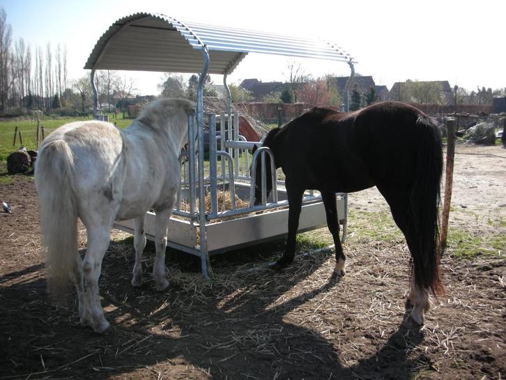 hooiruif weide, Dieren en Toebehoren, Stalling en Weidegang, Weidegang