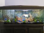 Aquarium 150x60x50, Dieren en Toebehoren, Ophalen, Zo goed als nieuw
