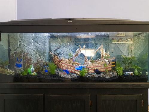 Aquarium 150x60x50, Dieren en Toebehoren, Vissen | Aquaria en Toebehoren, Zo goed als nieuw, Ophalen