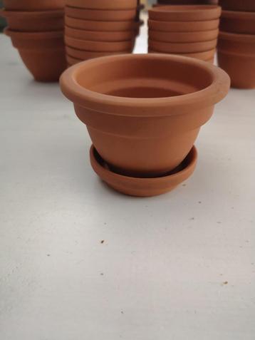 terracotta bloempotjes met onderschaal 20st. beschikbaar voor biedingen
