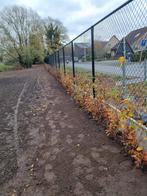 Poolse tuinman (tuinaanleg & tuinonderhoud)