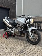 Honda CB600F, Motoren, Motoren | Honda, 4 cilinders, Motorrijbewijs A, Bedrijf, Meer dan 35 kW