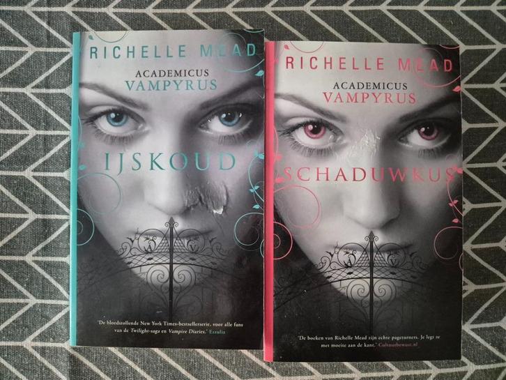 Boeken Richelle Mead Vampire Academy NEDERLANDS, Boeken, Fantasy, Gelezen, Ophalen of Verzenden