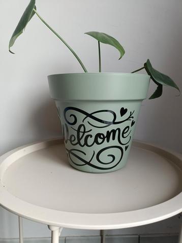 Bedrukte bloempot welcome beschikbaar voor biedingen