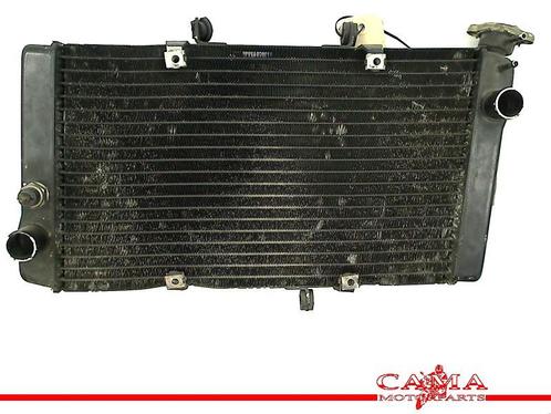 RADIATEUR EAU CBR 1100 XX Blackbird 1996-1998 (CBR1100XX), Motos, Pièces | Honda, Utilisé