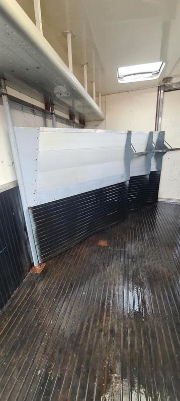 3x paarden schot voor in trailer.
 beschikbaar voor biedingen