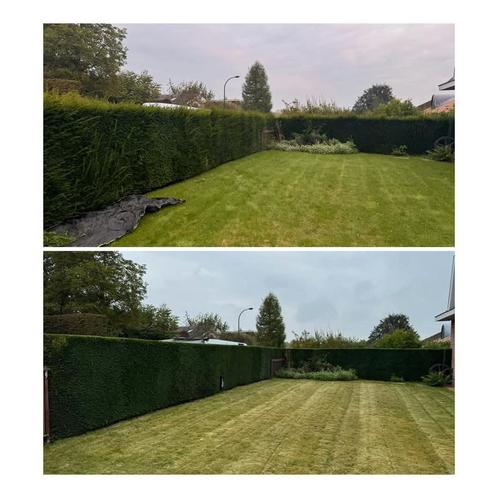Jardin, Tuin en Terras, Gras en Kunstgras, Zo goed als nieuw, Ophalen of Verzenden