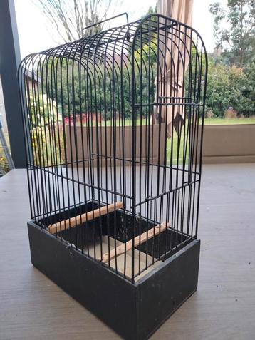 10 houten TT kooien ( koepelkooien ) voor postuur kanaries  beschikbaar voor biedingen