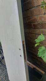 Gratis massieve deur, Doe-het-zelf en Bouw, Deuren en Vliegenramen, Ophalen, Gebruikt, Minder dan 80 cm, Binnendeur