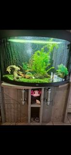 Unieke Aqarium juwel 190 liter, Dieren en Toebehoren, Ophalen, Zo goed als nieuw, Gevuld zoetwateraquarium