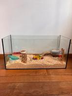 Terrarium in veiligheidsglas, Dieren en Toebehoren, Ophalen, Zo goed als nieuw, Hamster
