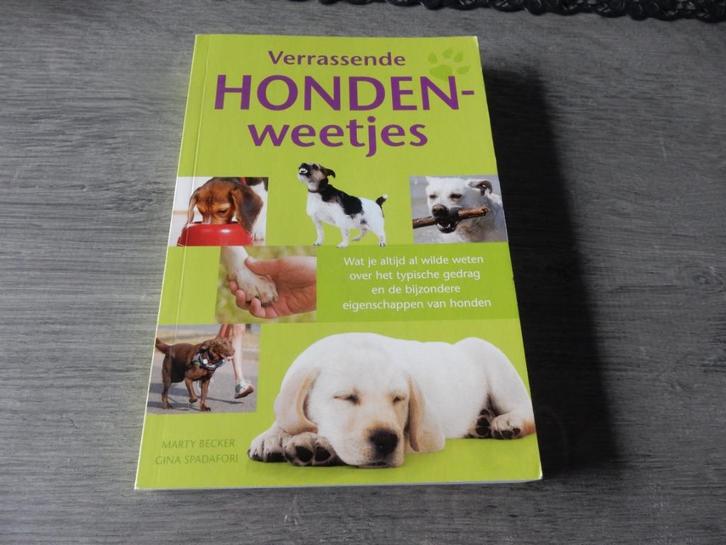 nr.902 - Verrassende hondenweetjes, Boeken, Dieren en Huisdieren, Zo goed als nieuw, Honden, Ophalen of Verzenden