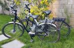 Twee elektrisch Flyer Fietsen middenmotor 558wah Als nieuw!, Fietsen en Brommers, Elektrische fietsen, Ophalen of Verzenden, Zo goed als nieuw