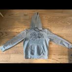 Ralph Lauren hoodie, Kleding | Heren, Truien en Vesten, Grijs, Polo Ralph Lauren, Maat 48/50 (M), Zo goed als nieuw