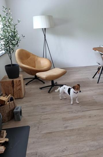 Keramische houten planken - Keramisch parket -cifre nebraska beschikbaar voor biedingen