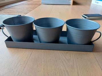 Kweetpotten keuken kruiden  beschikbaar voor biedingen
