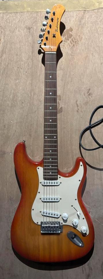 Elektrische Gitaar Baltimore beschikbaar voor biedingen