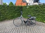 Elektrische fiets, Fietsen en Brommers, Fietsen | Mountainbikes en ATB, Ophalen, Overige merken