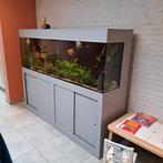 zeer grote complete aquarium, Dieren en Toebehoren, Zo goed als nieuw, Ophalen