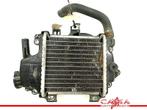 RADIATEUR EAU Honda PCX 125 2013 (PCX125 JF47 ESP), Motos, Utilisé