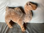 Dromedaris knuffel, Ophalen, Zo goed als nieuw