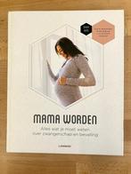 Boeken over zwangerschap en over eerste levensjaar, Boeken, Zwangerschap en Opvoeding, Christine Vanhole; Mama Baas, Zo goed als nieuw