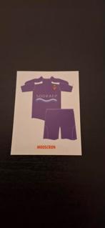 Panini voetbal 2010, Verzamelen