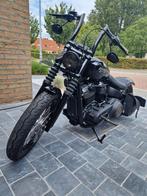 streetbob softail, Particulier