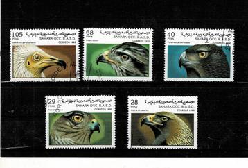 AFRIQUE SAHARA OCCIDENTAL OISEAUX DE PROIE 5 TIMBRES OBLITER