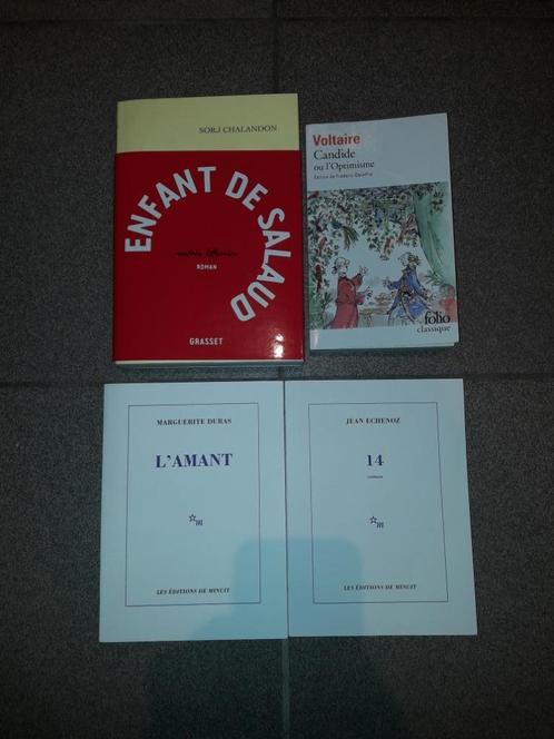 Franse romans (Voltaire, Duras, Echenoz, Chalandon), Livres, Romans historiques, Neuf, Enlèvement ou Envoi