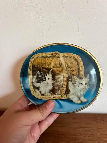 Ancienne boîte en fer blanc vintage pour chat, Enlèvement ou Envoi