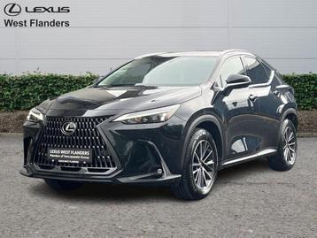 Lexus NX 350h Executive Line+360cam+Pano  beschikbaar voor biedingen