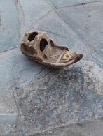 Décoration d'aquarium, Enlèvement