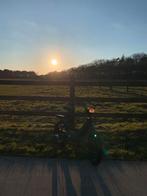 Vespa ciao in onderdelen, Fietsen en Brommers, Brommers | Vespa, Ophalen, Klasse A (25 km/u)