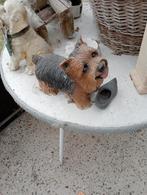 Image lourde d'un Yorkshire, Enlèvement ou Envoi