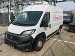 Fiat 250 camion frigorifère 2020, Autos, Autres modèles, Achat, Euro 6, Entreprise