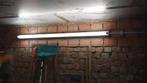 buislampen/ verlichting, Ophalen, Nieuw, Minder dan 50 watt, Lamp met armatuur
