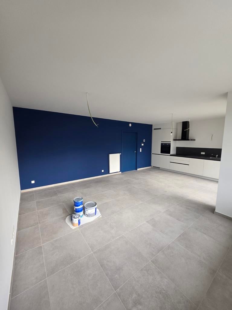 Travail de peinture Professionnel