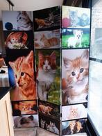 Scheidingswand (paravent) katten, Ophalen