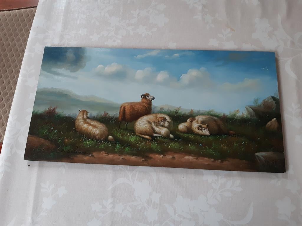 Schilderij weiland met schapen, Ophalen of Verzenden
