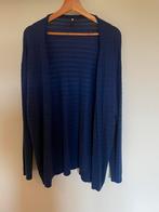 Blauwe gilet Hema maat L (nieuw!), Vêtements | Femmes, Pulls & Gilets, Enlèvement ou Envoi, Bleu, Hema, Taille 42/44 (L)