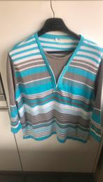 Trui maat L, Kleding | Dames, Truien en Vesten, Ophalen of Verzenden, Zo goed als nieuw, Maat 42/44 (L)