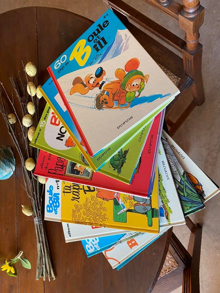 12 BD Boule et Bill, Livres, BD, Enlèvement, Comme neuf