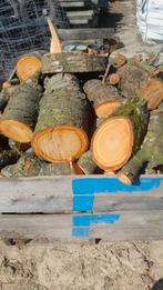 Bois de chauffage sec et humide, Jardin & Terrasse, 6 m³ ou plus, Enlèvement, Autres essences de bois, Bûches