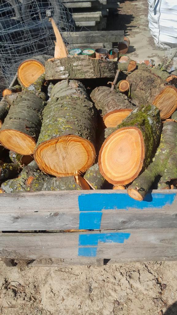 Bois de chauffage sec et humide, Jardin & Terrasse, Bois de chauffage, Bûches, Autres essences de bois, 6 m³ ou plus, Enlèvement