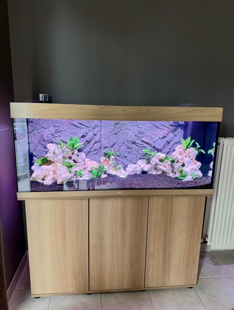 Juwel Aquarium Rio 240 + Meubel  + extra’s - 3 maanden oud., Dieren en Toebehoren, Ophalen, Zo goed als nieuw, Juwel